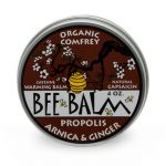 Arnica & Ginger Arthritis Rub